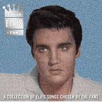 15-06-2012 - schmitt_rauch - elvis.jpg